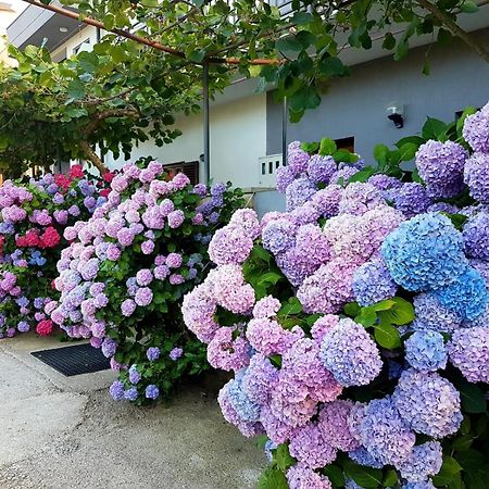 Ferienhaus Magdalena Fažana Zewnętrze zdjęcie